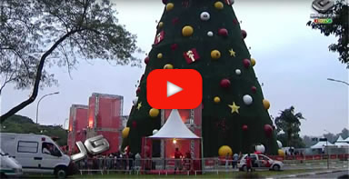 video-ibirapuera.jpg